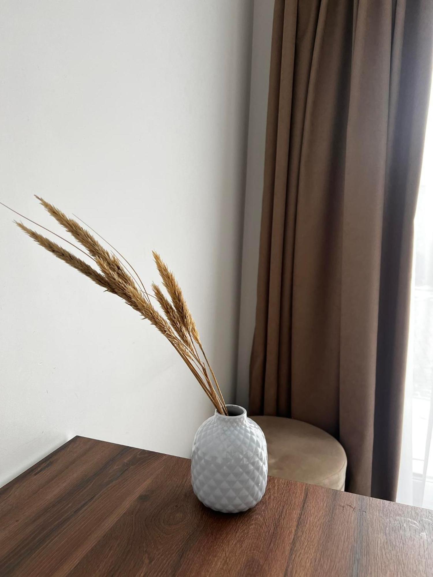 Izabeles Apartamentai 팔랑가 외부 사진